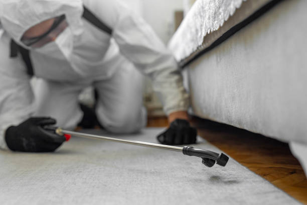 Professional Bed Bug Control technician working in Los Molinos, CA