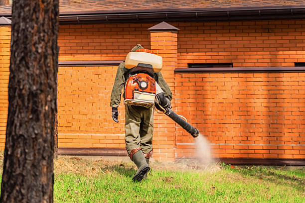 Trusted Termite Control service in Los Molinos, CA - Nex Pest Control